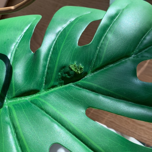 ☀️Hump Day Happiness SALE☀️ Styling fun ✨7 Pieces Plant Styling props - Picture 3 of 12